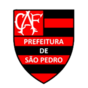 Logo Flamengo Sao Pedro U20 (W)